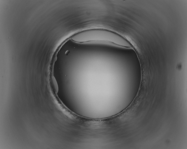 X0000090871134200708241915