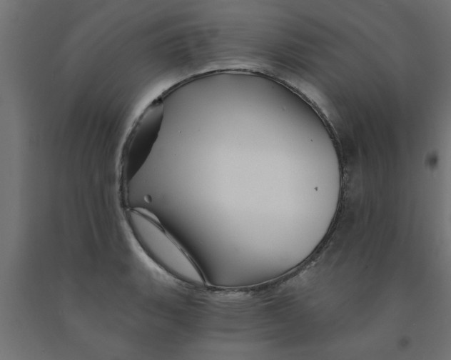 X0000090871135200708241915