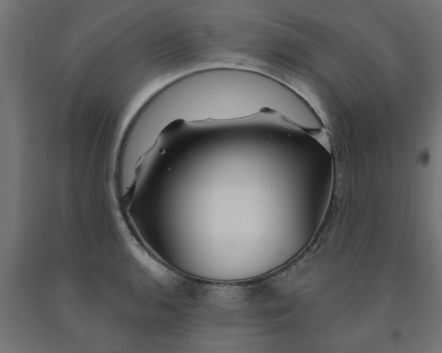 X0000090871136200708241915