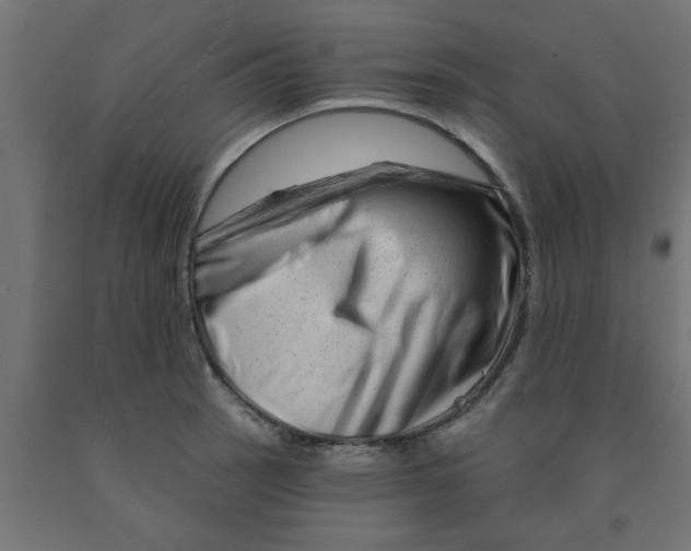 X0000090871137200708241915