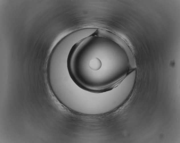 X0000090871138200708241915