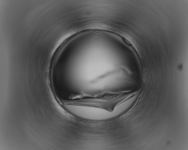 X0000090871139200708241915