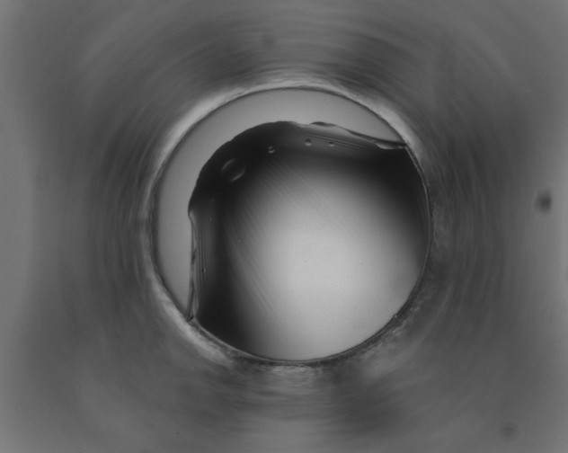 X0000090871142200708241915