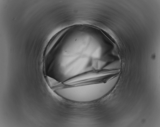 X0000090871143200708241915