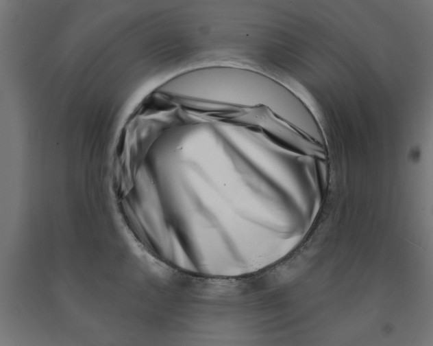 X0000090871144200708241915