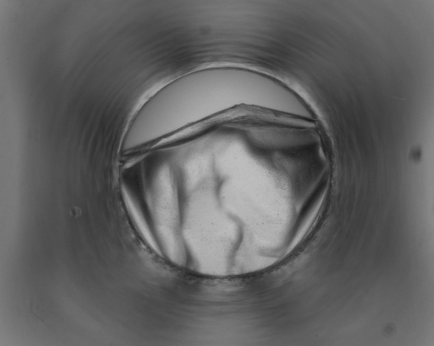 X0000090871145200708241915