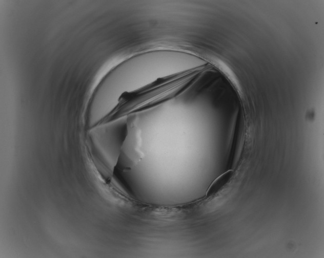 X0000090871146200708241915