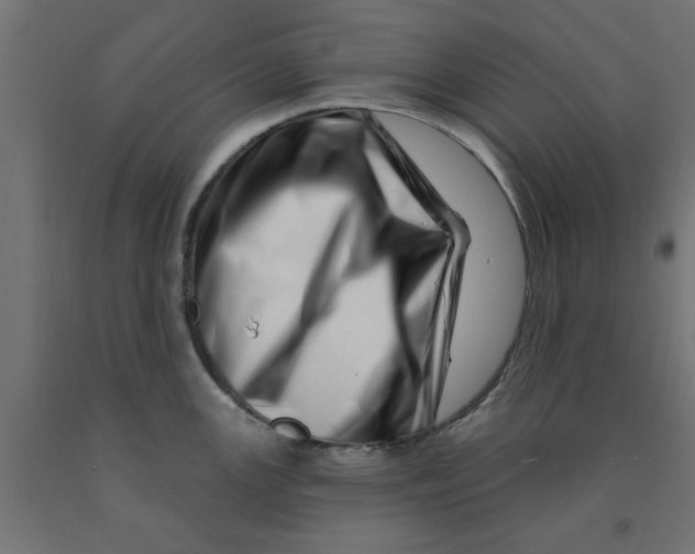 X0000090871147200708241915