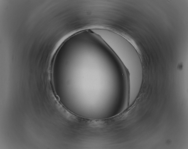 X0000090871148200708241915