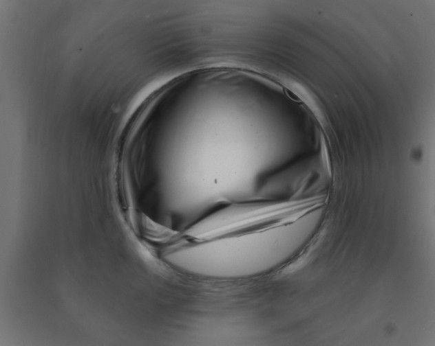 X0000090871149200708241915