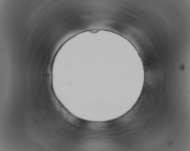 X0000090871150200708241915