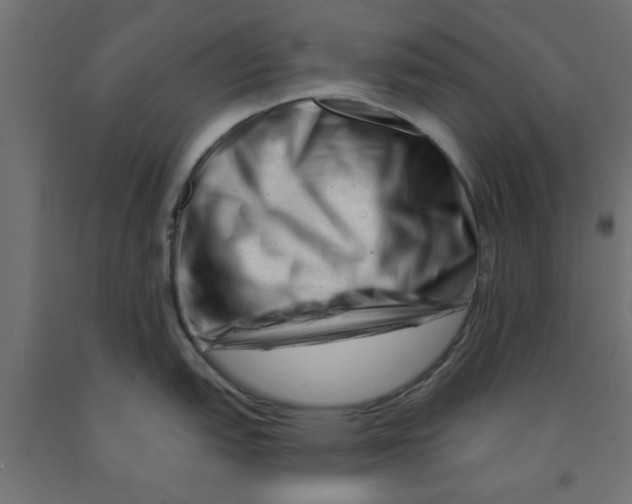 X0000090871151200708241915