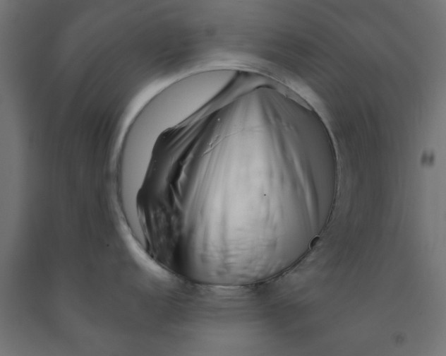 X0000090871152200708241915