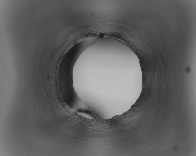 X0000090871153200708241914