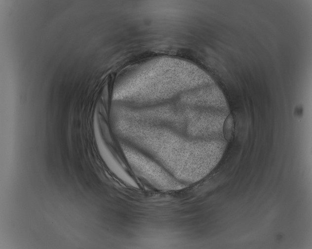 X0000090871154200708241914