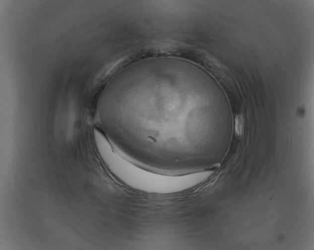 X0000090871155200708241914