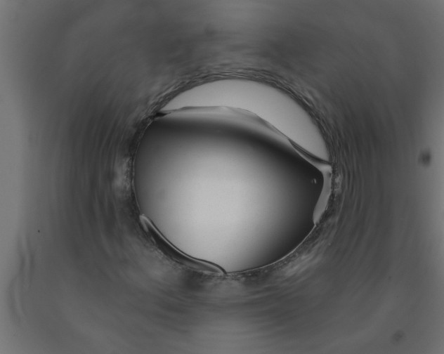 X0000090871156200708241914