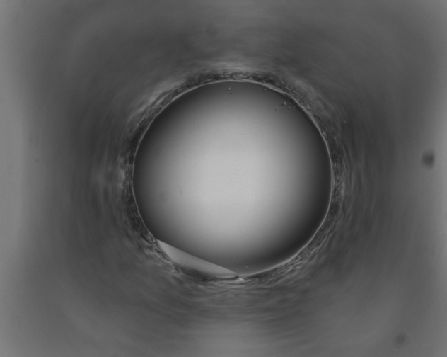 X0000090871157200708241914