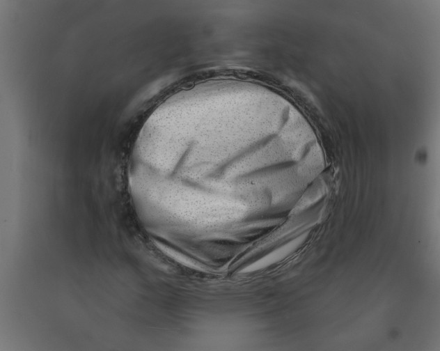 X0000090871159200708241914