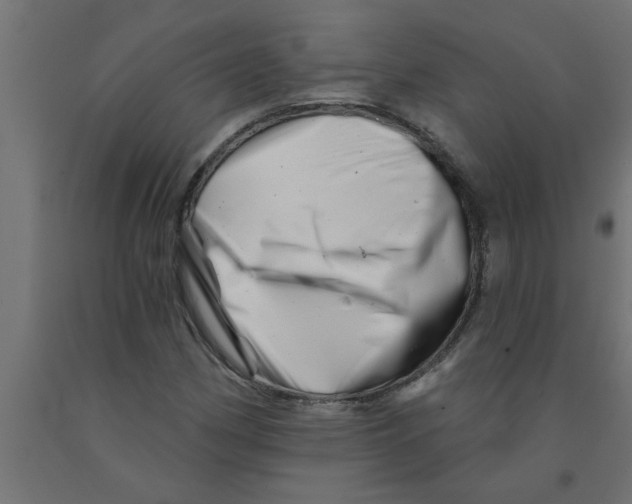 X0000090871162200708241914