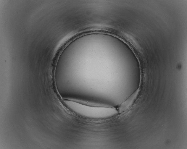 X0000090871164200708241914