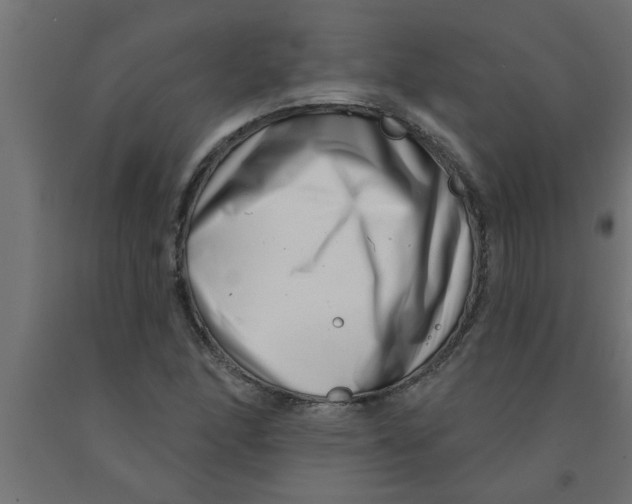 X0000090871166200708241914