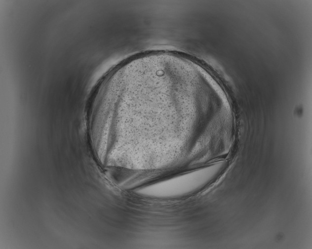 X0000090871167200708241914