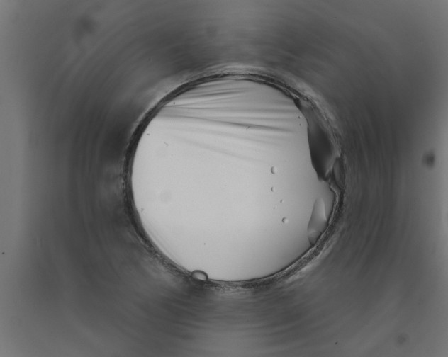 X0000090871170200708241914