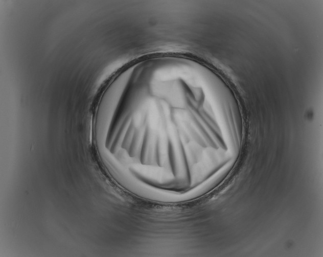 X0000090871171200708241914