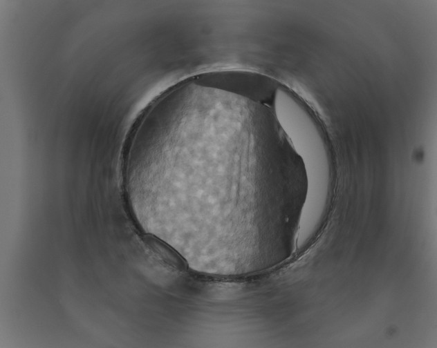 X0000090871173200708241914