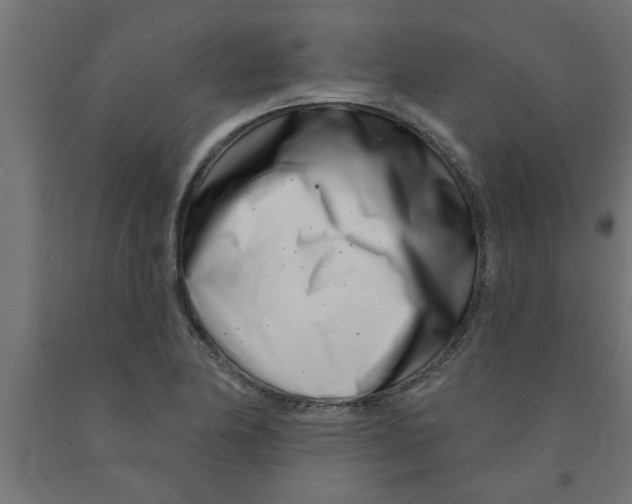 X0000090871174200708241914