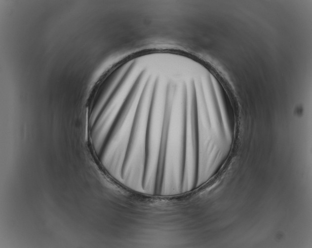 X0000090871175200708241914