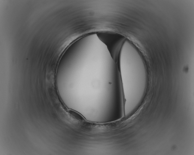 X0000090871177200708241914