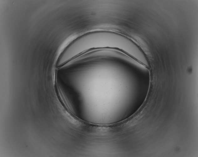 X0000090871180200708241914