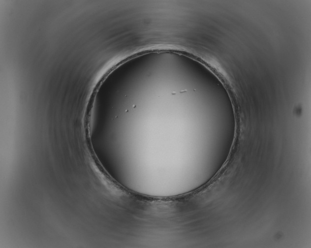 X0000090871181200708241914