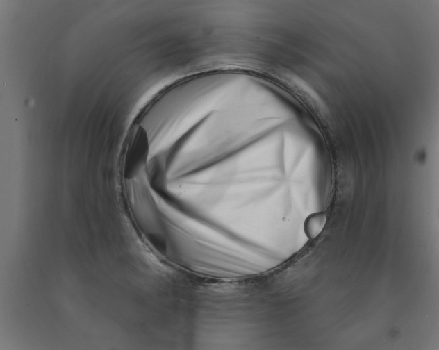 X0000090871182200708241914