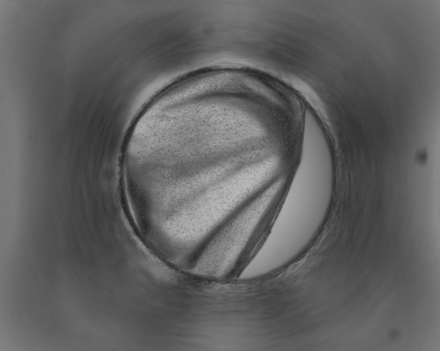 X0000090871183200708241914