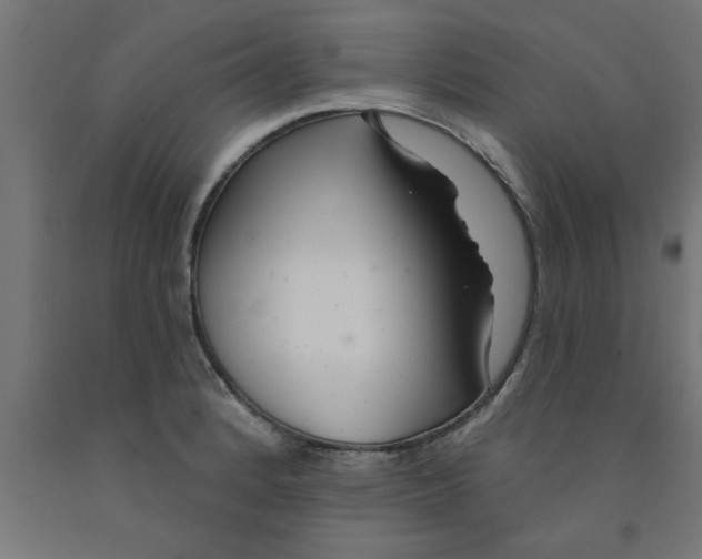 X0000090871184200708241914