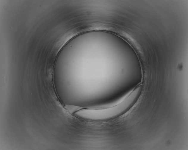 X0000090871185200708241914