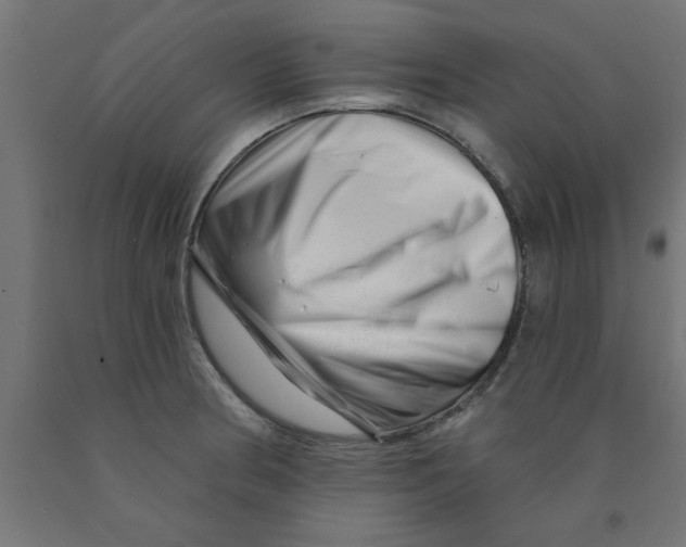 X0000090871186200708241914