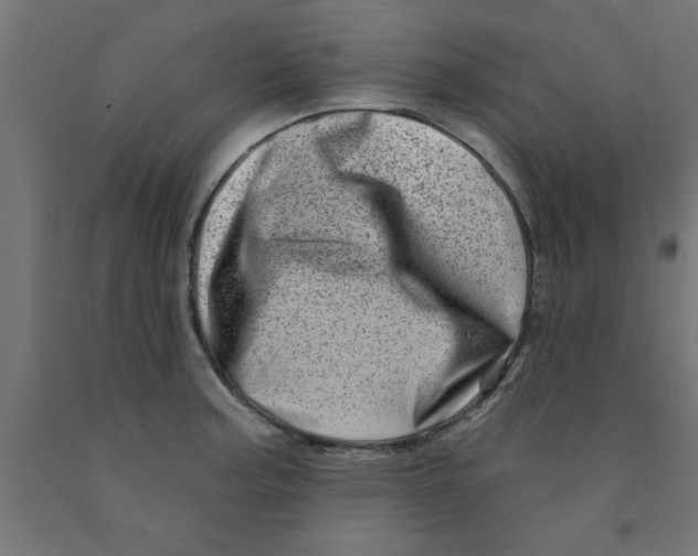 X0000090871187200708241914