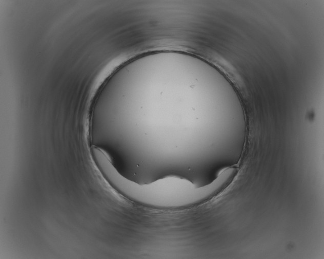 X0000090871188200708241914