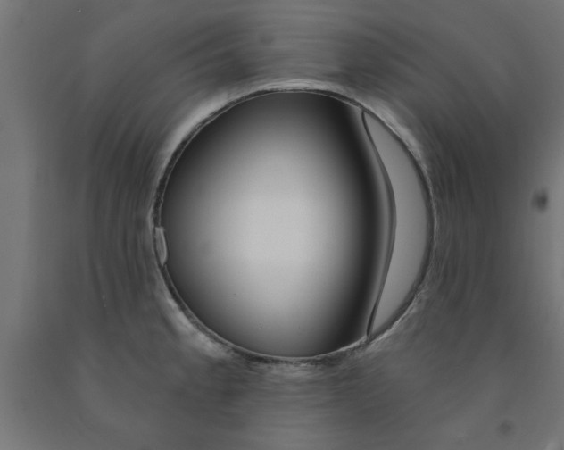 X0000090871189200708241914