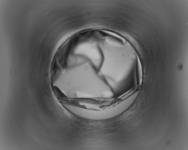 X0000090871191200708241914