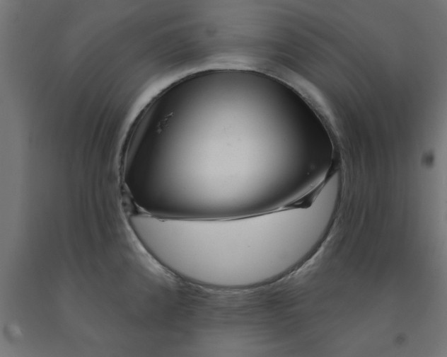 X0000090871192200708241914