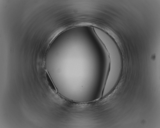 X0000090871193200708241914