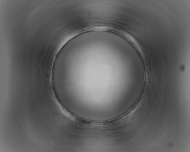 X0000090871194200708241914