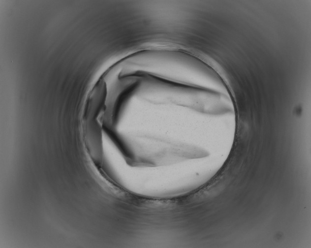 X0000090871195200708241914