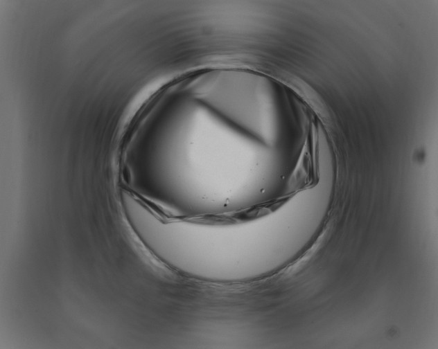 X0000090871196200708241914