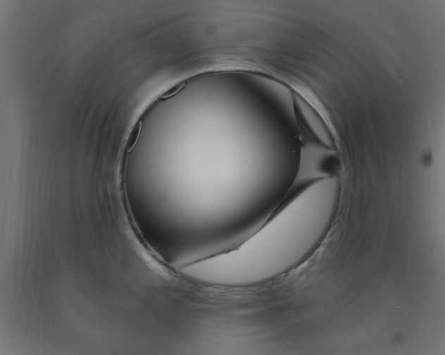 X0000090871197200708241914